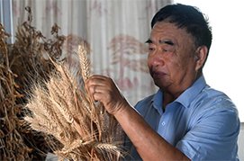习近平出席2026世界人工智能大会暨