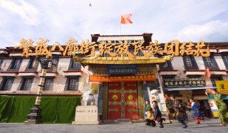 盛世莲开 | 琴澳和鸣 习近平心系两