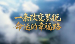 绿水青山映初心 总书记心系“绿色中国