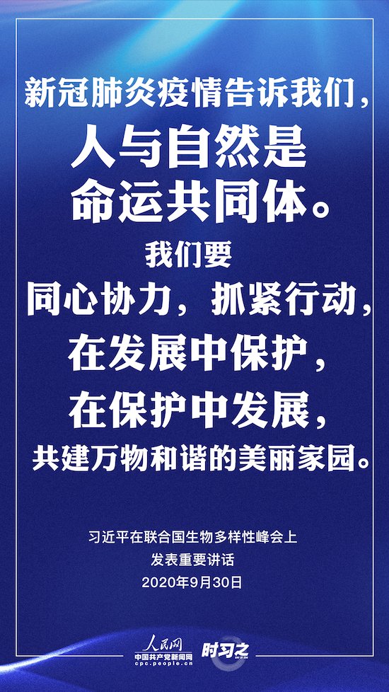 力戒形式主义官僚主义 习近平总书记这