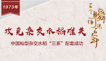 mk体育在线