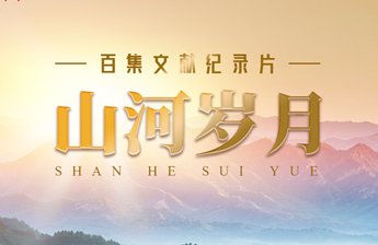 注重实际