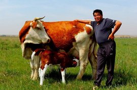 年轻mk体育在线注册福利生逢伟大时代