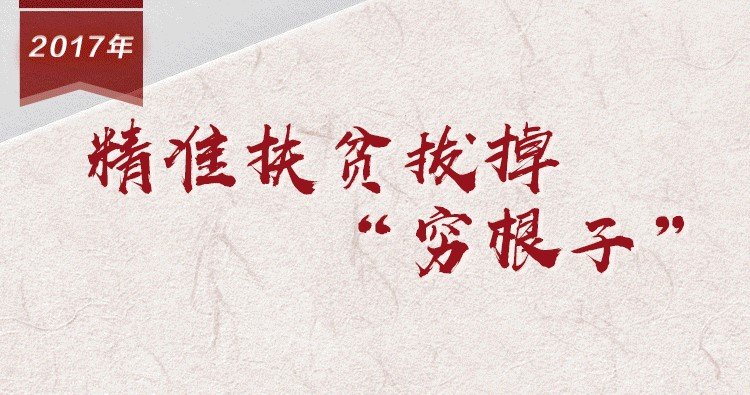 可先确认当前栏目名称