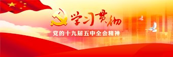 相关解读等栏目跟踪报道党代表选举的全