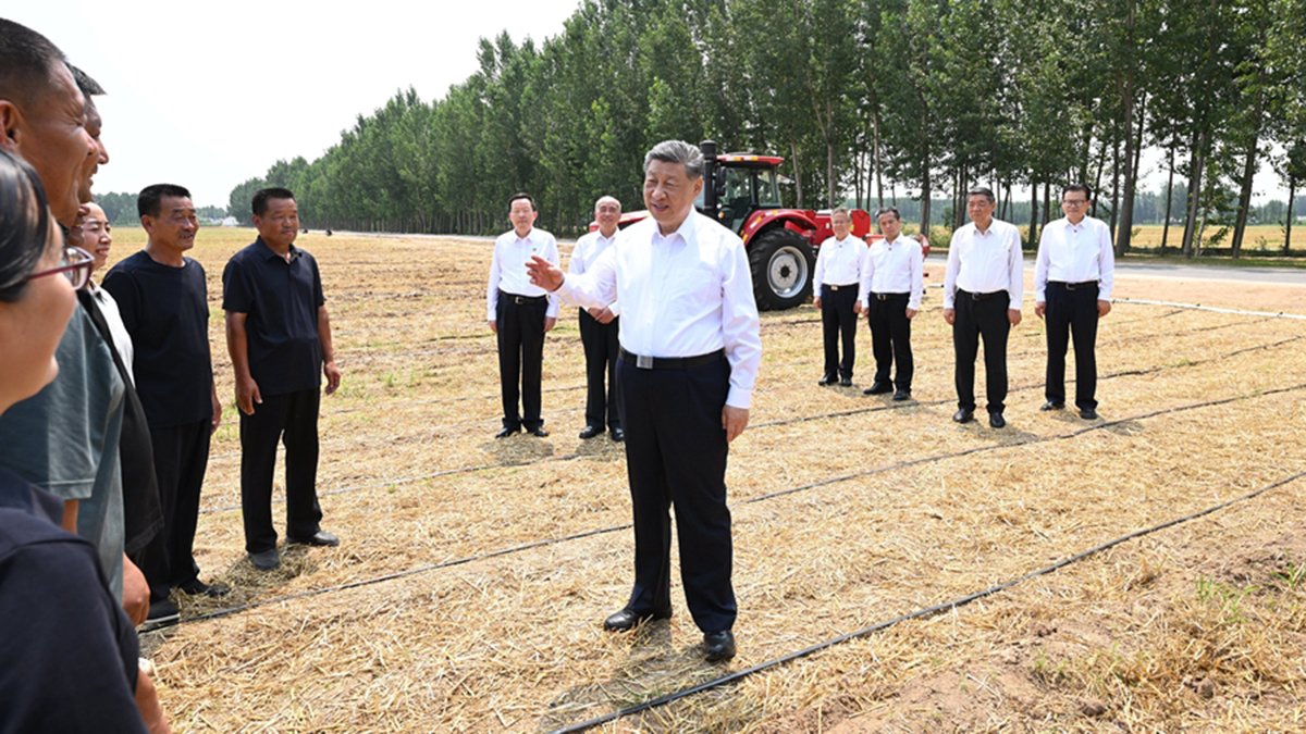 党建mk体育在线注册就送