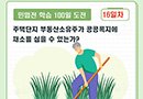 정음문화칼럼