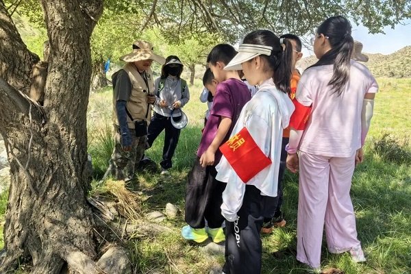 可改走栏目列表继续查找